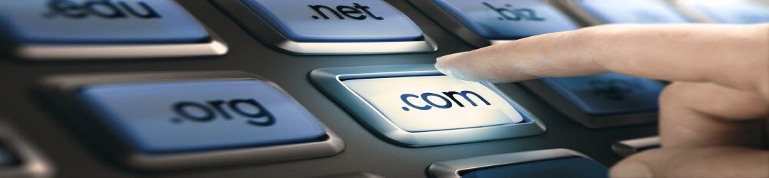 Domain Registration